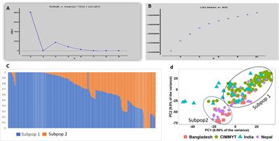 Association Mapping of Seedling Resistance to Tan Spot (Pyrenophora tritici-repentis Race 1) in CIMMYT and South Asian Wheat Germplasm